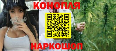 гидра Лесосибирск