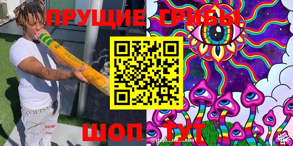 Галлюциногенные грибы Psilocybe Железногорск